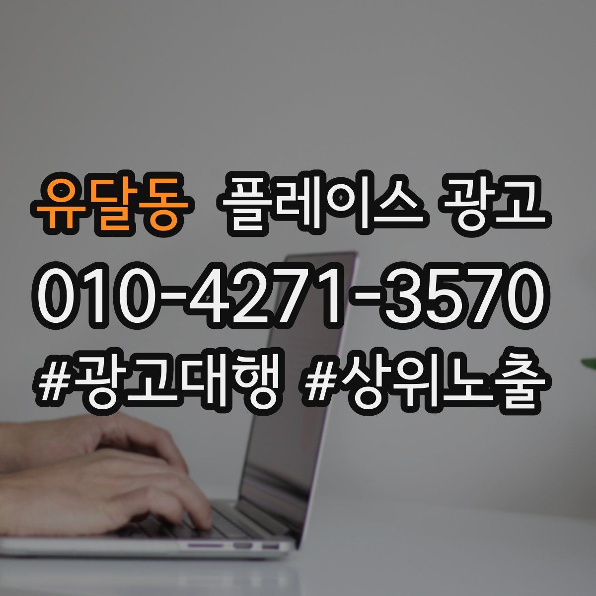 유달동 플레이스 광고