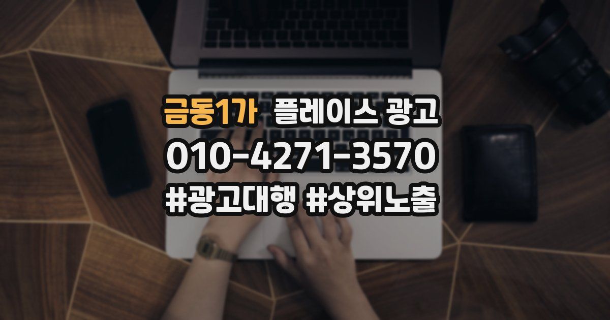 금동1가 플레이스 광고