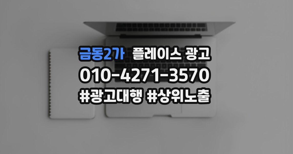 금동2가 플레이스 광고