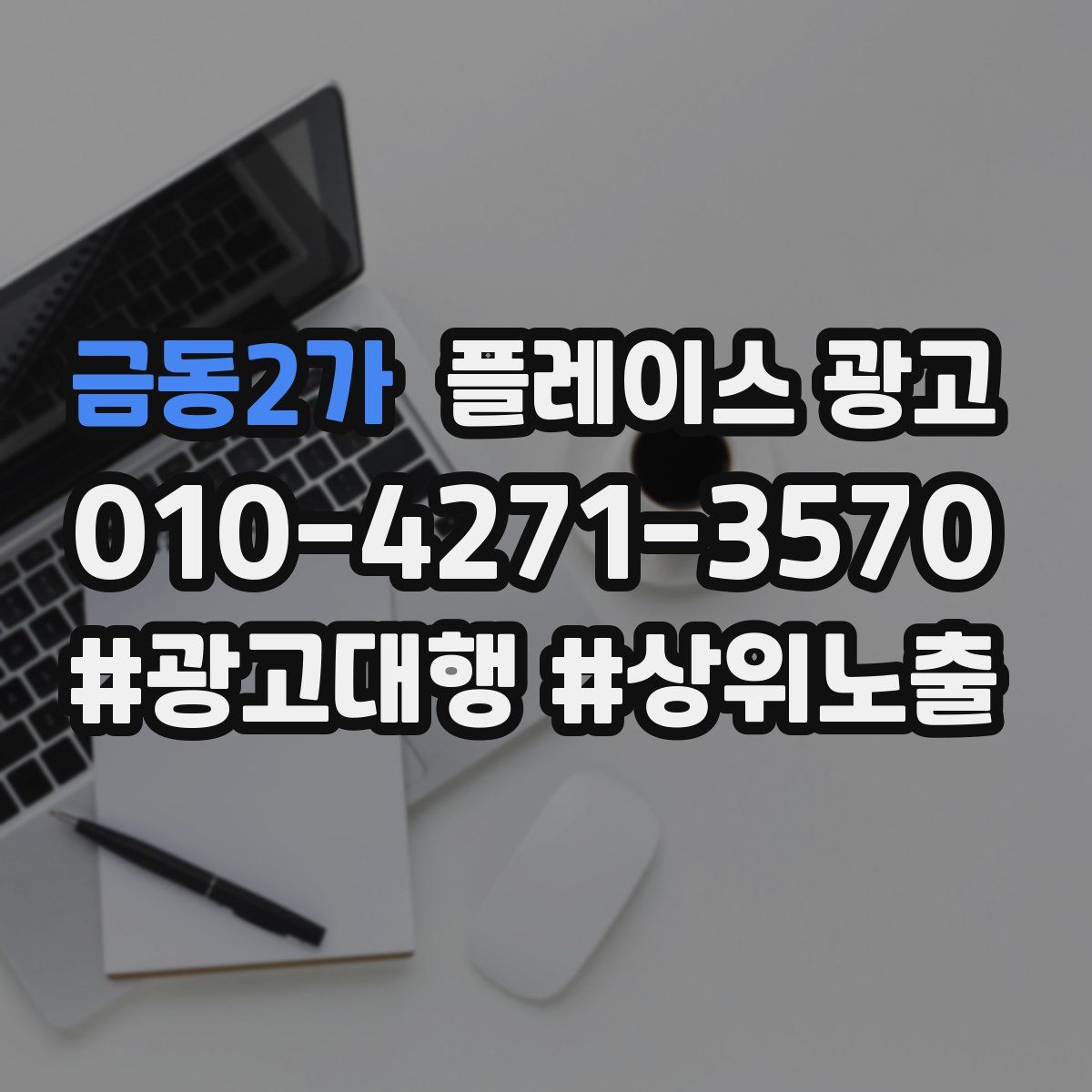 금동2가 플레이스 광고