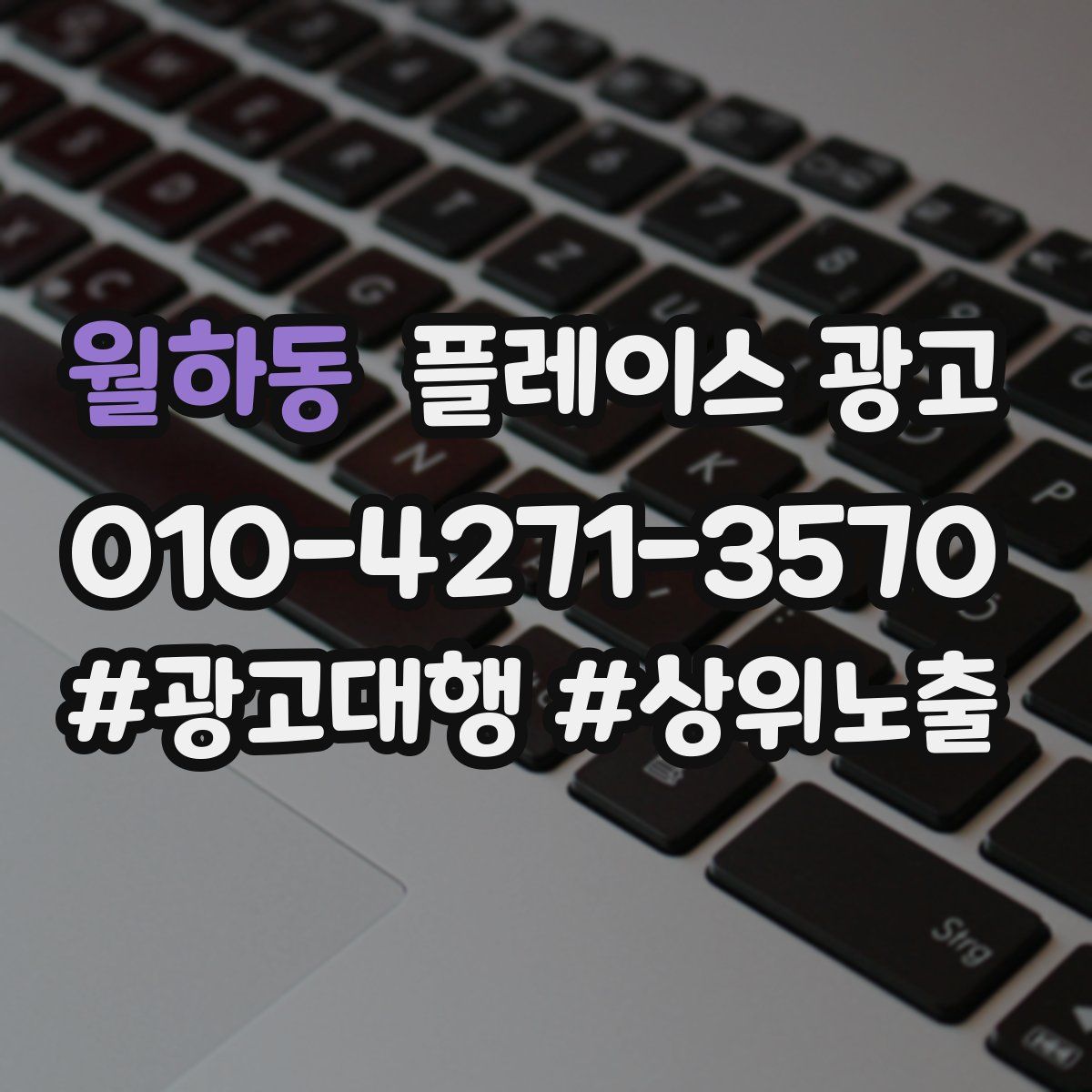 월하동 플레이스 광고