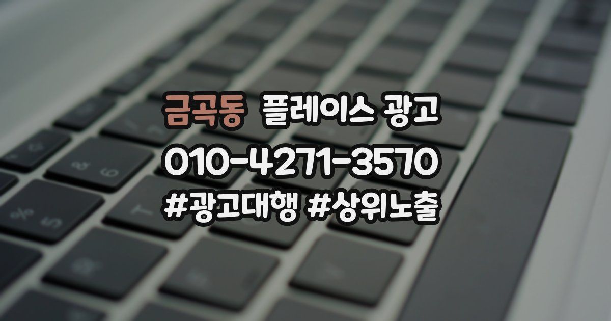 금곡동 플레이스 광고