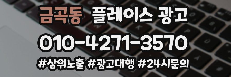 금곡동 플레이스 광고