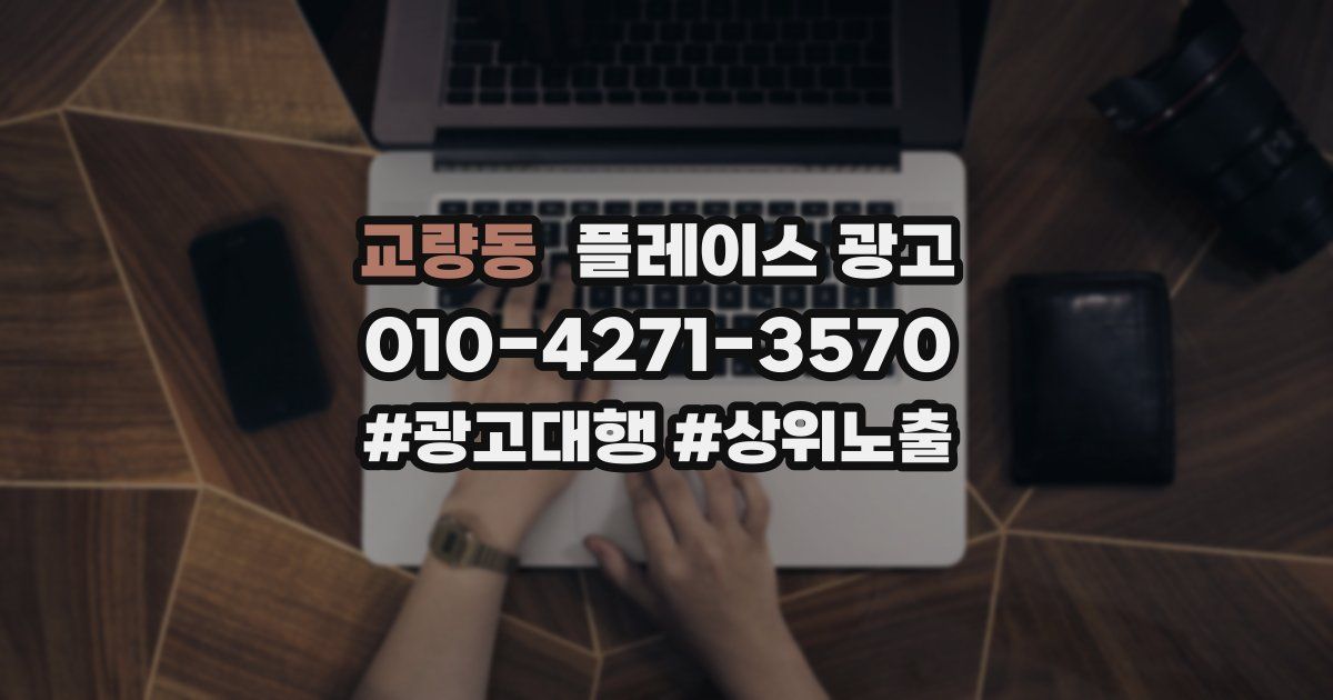 교량동 플레이스 광고