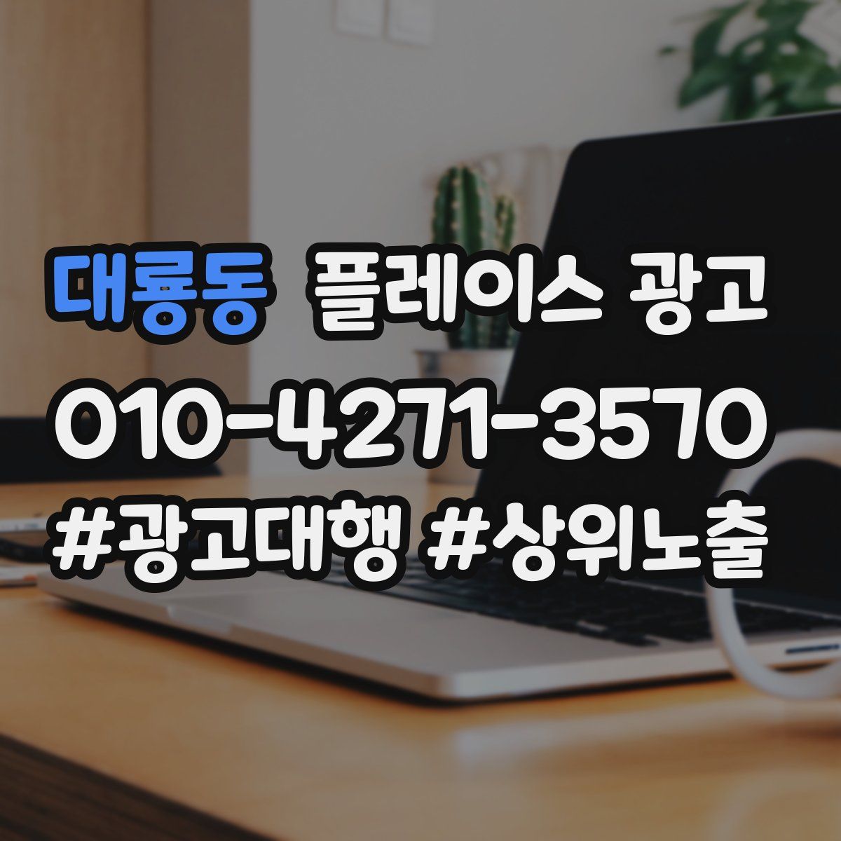 대룡동 플레이스 광고