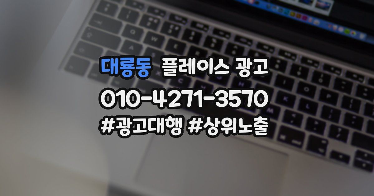 대룡동 플레이스 광고