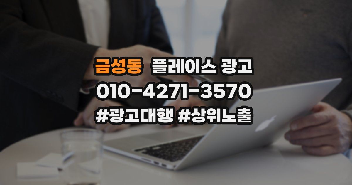 금성동 플레이스 광고