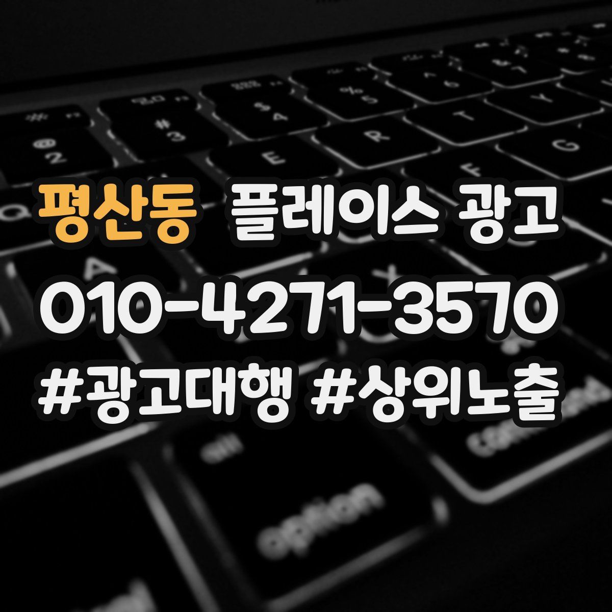 평산동 플레이스 광고