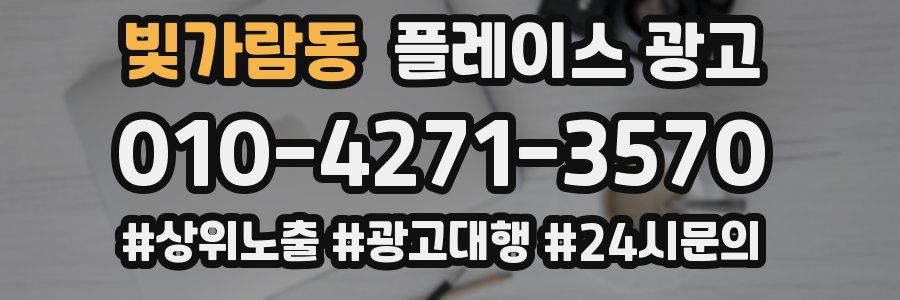 빛가람동 플레이스 광고