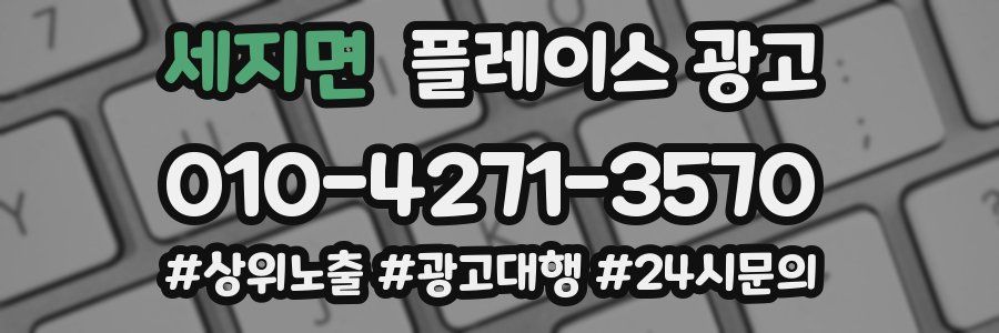 세지면 플레이스 광고