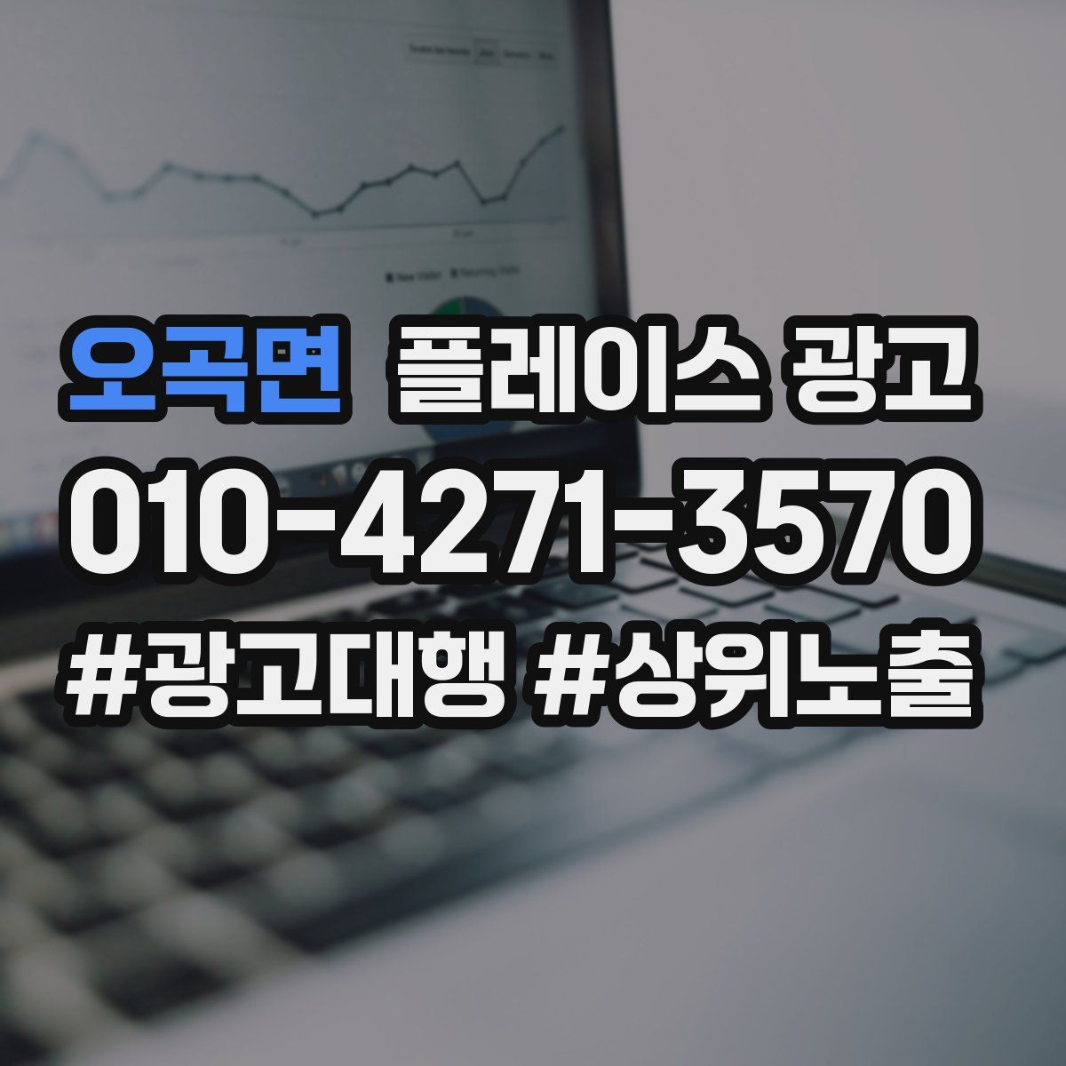 오곡면 플레이스 광고