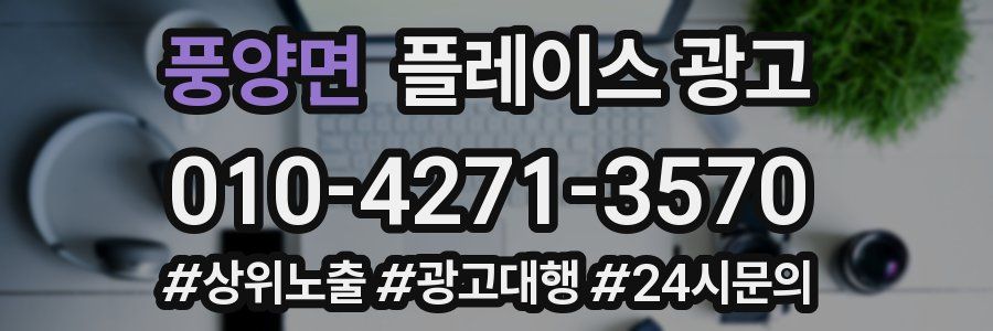 풍양면 플레이스 광고