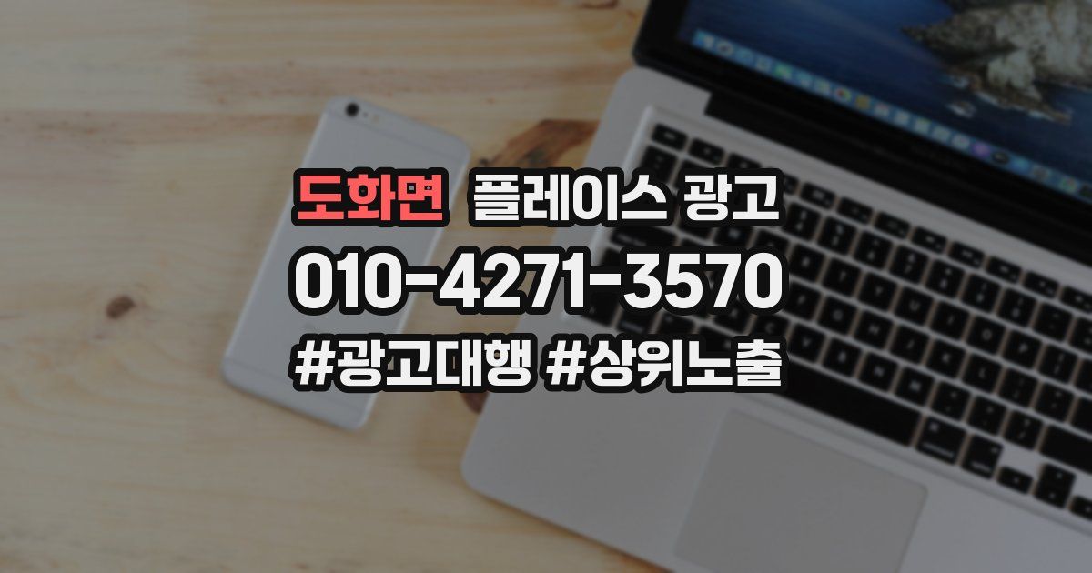 도화면 플레이스 광고