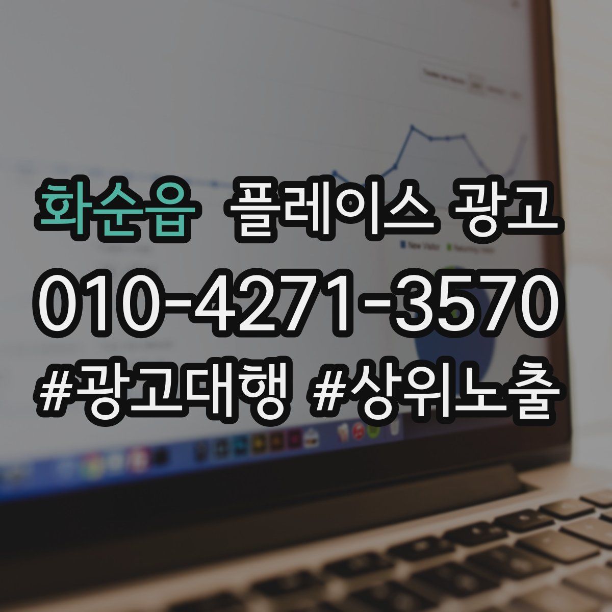 화순읍 플레이스 광고