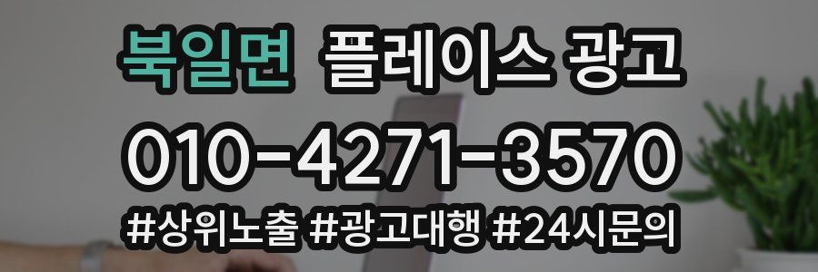 북일면 플레이스 광고