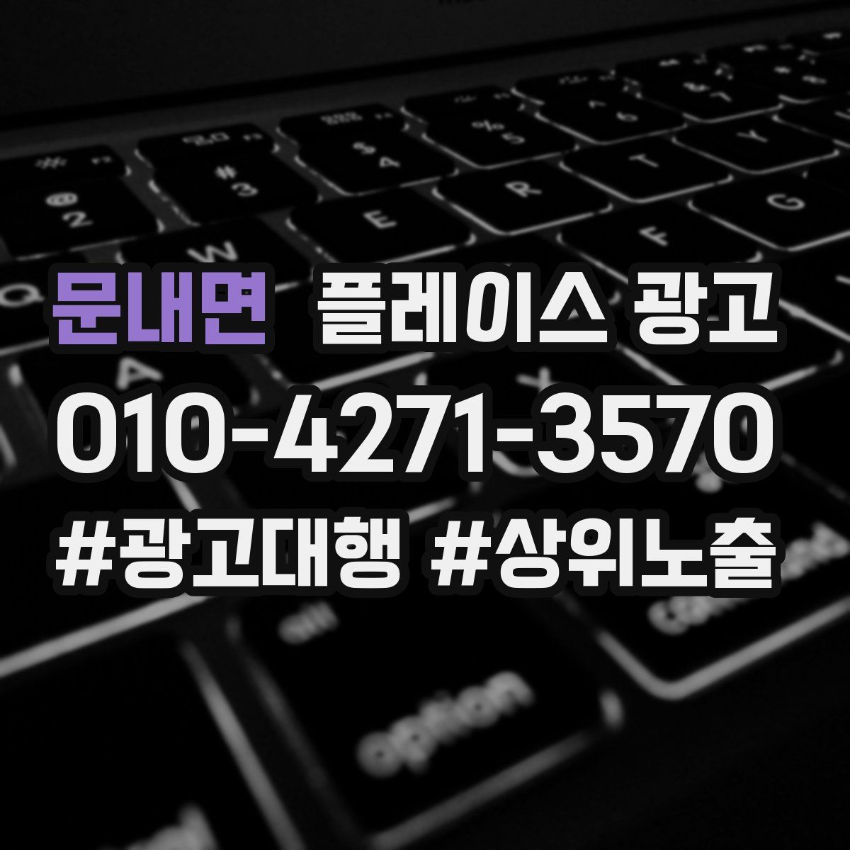 문내면 플레이스 광고