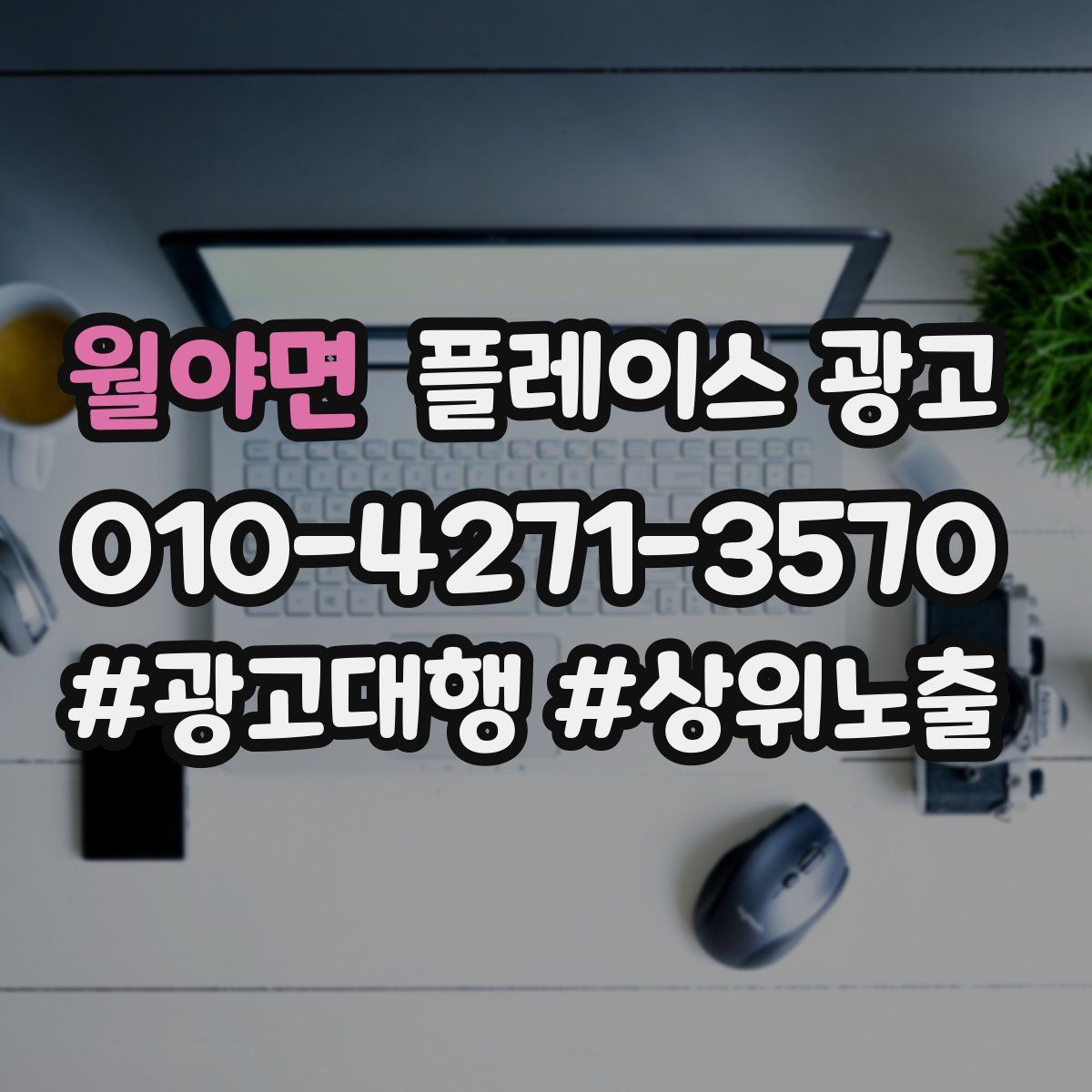 월야면 플레이스 광고