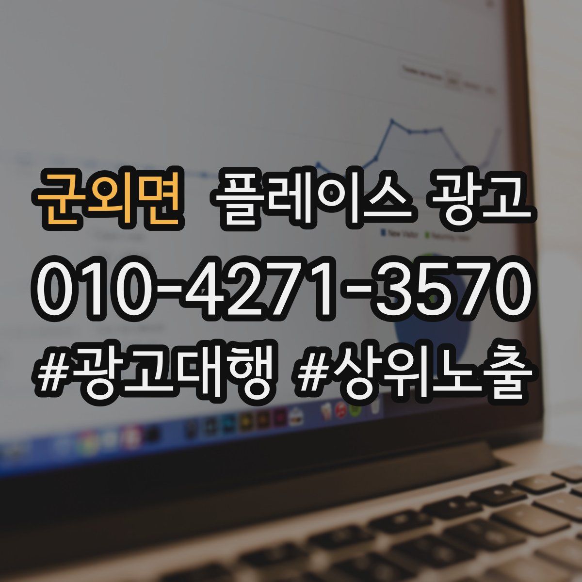 군외면 플레이스 광고