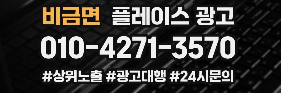 비금면 플레이스 광고