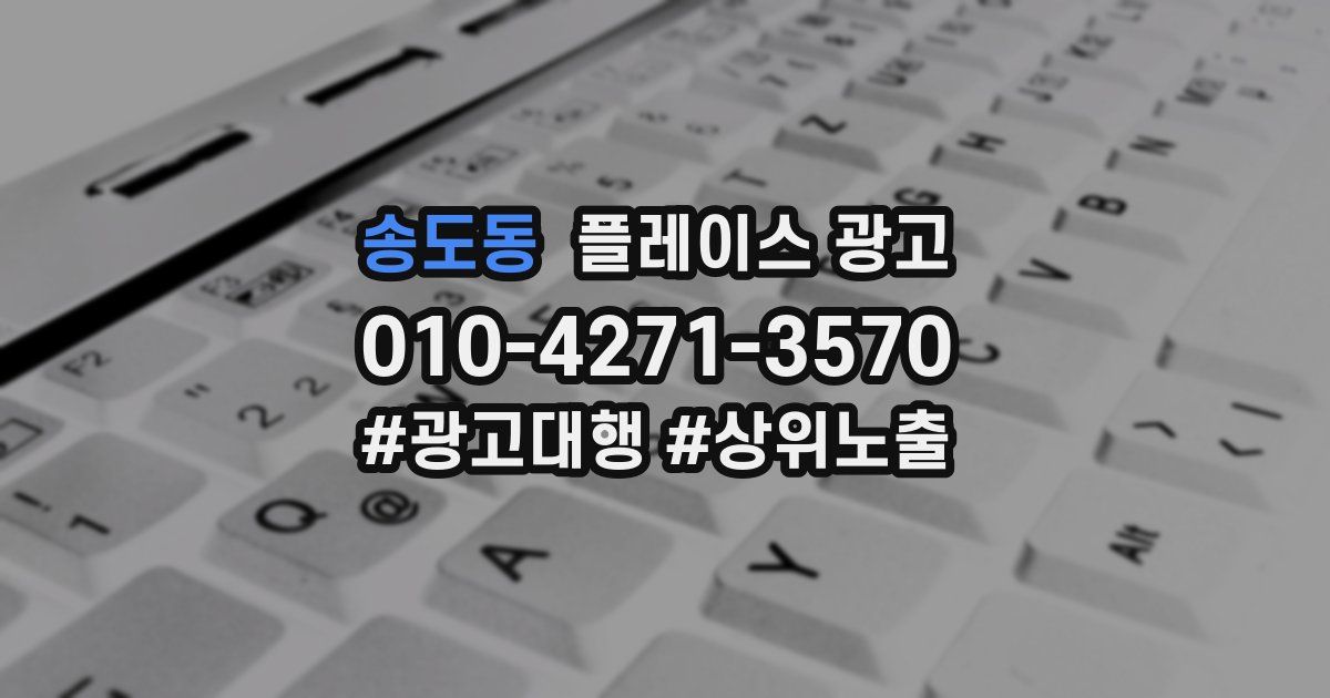 송도동 플레이스 광고