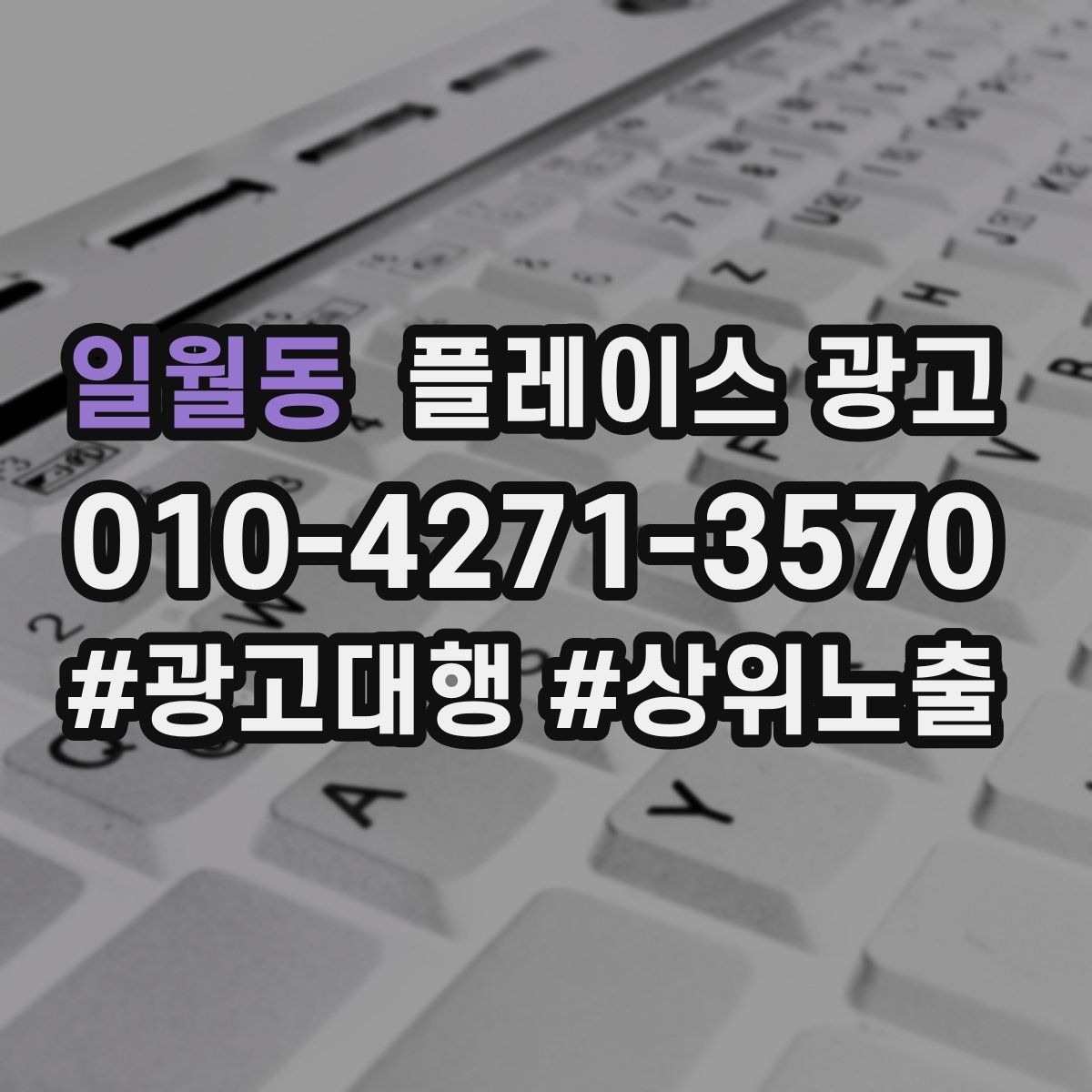 일월동 플레이스 광고