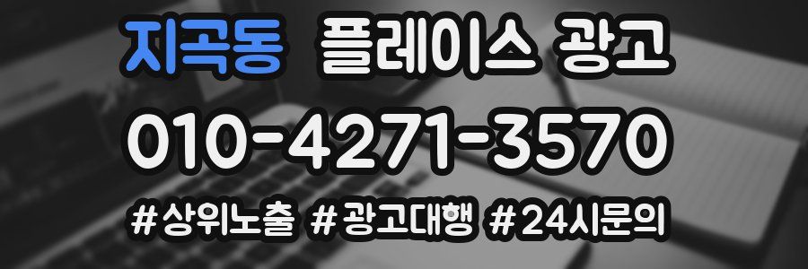 지곡동 플레이스 광고