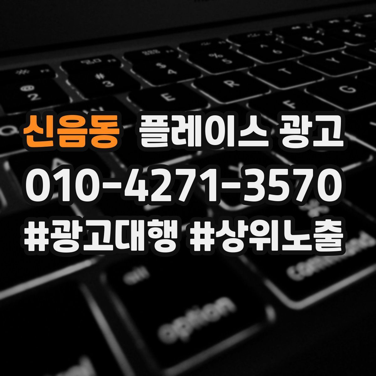 신음동 플레이스 광고