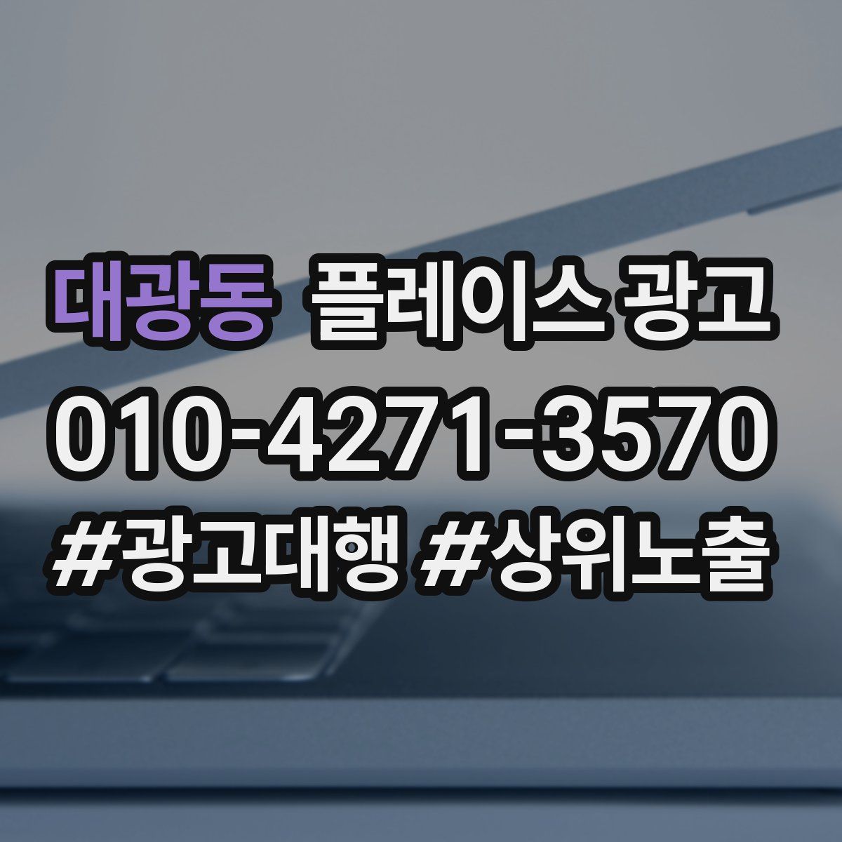 대광동 플레이스 광고