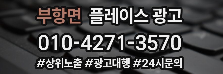 부항면 플레이스 광고