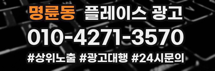 명륜동 플레이스 광고