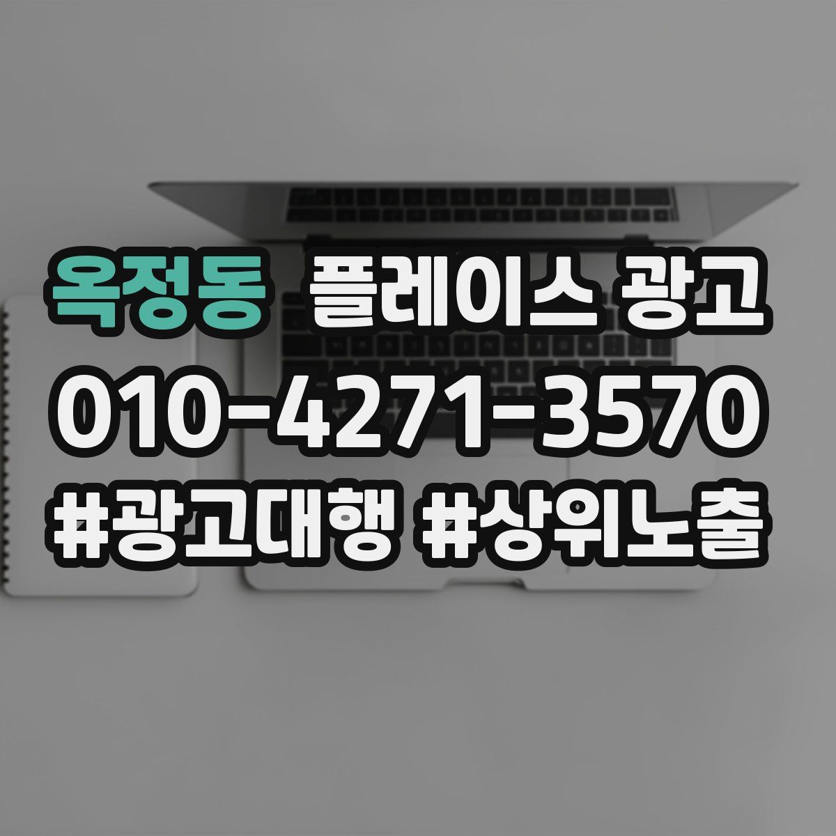 옥정동 플레이스 광고