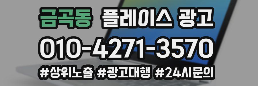 금곡동 플레이스 광고