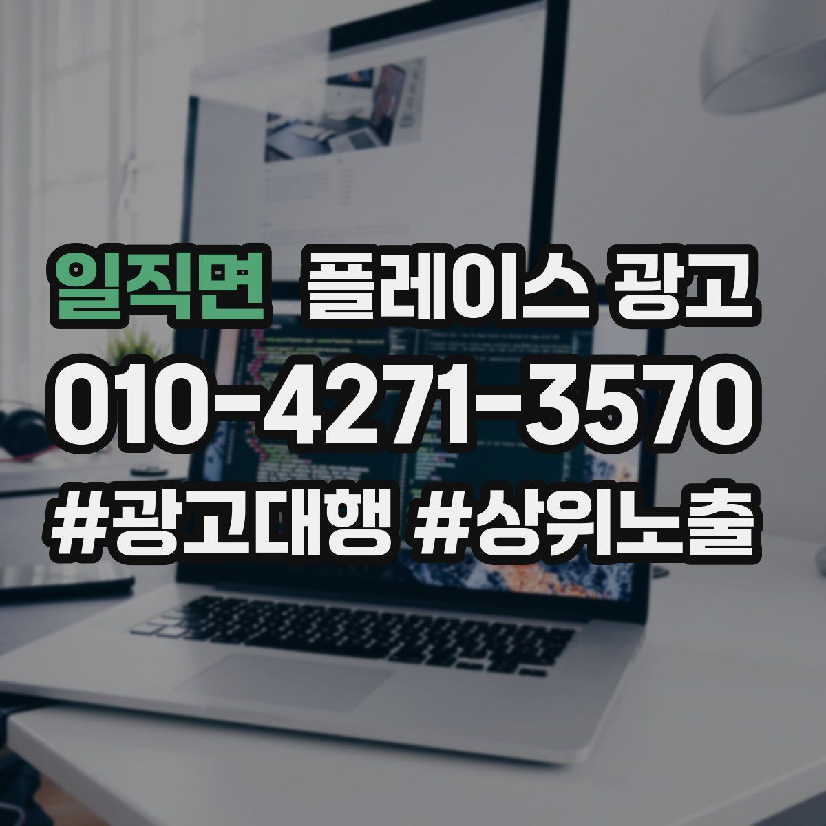 일직면 플레이스 광고