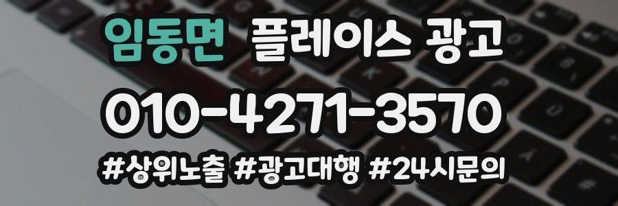 임동면 플레이스 광고