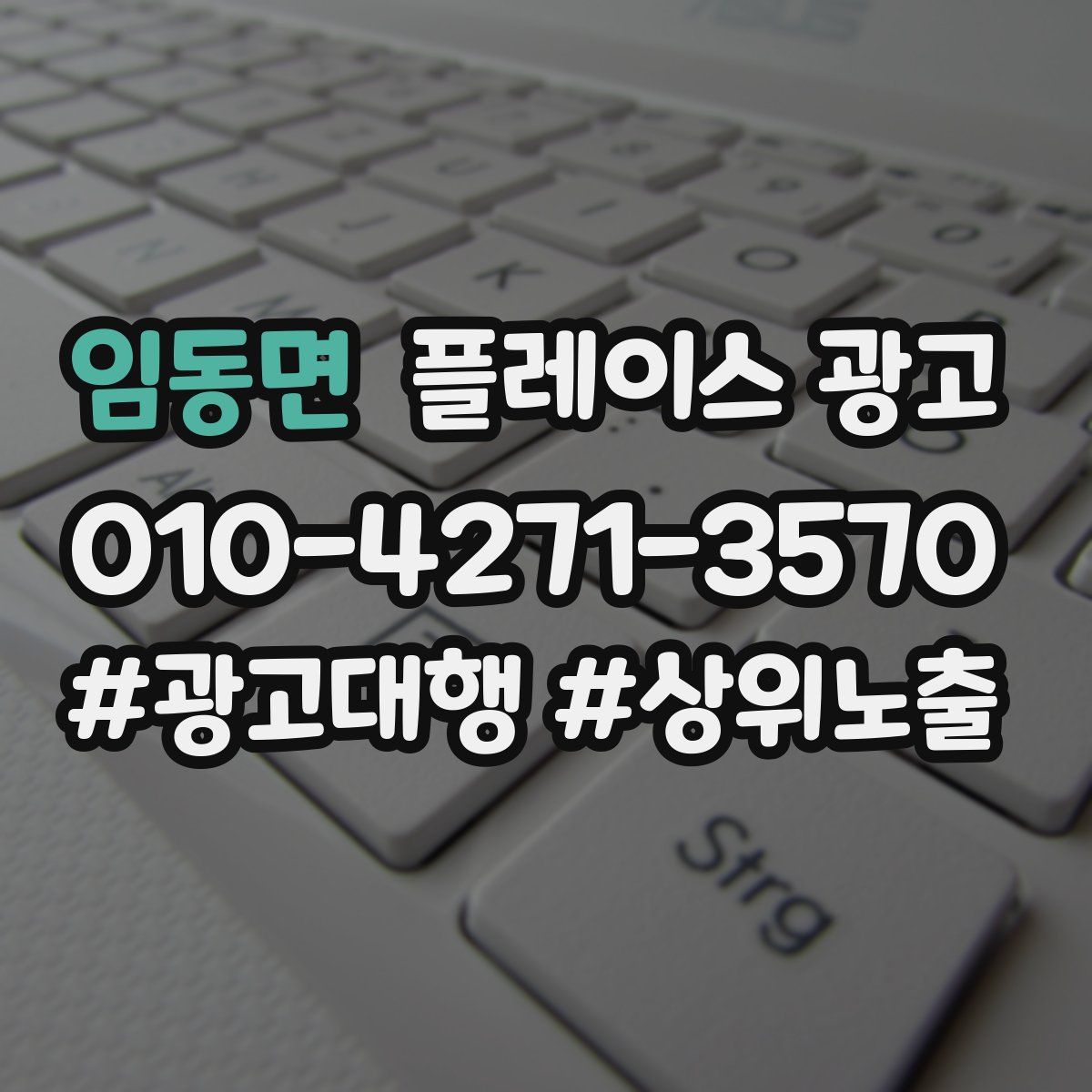 임동면 플레이스 광고