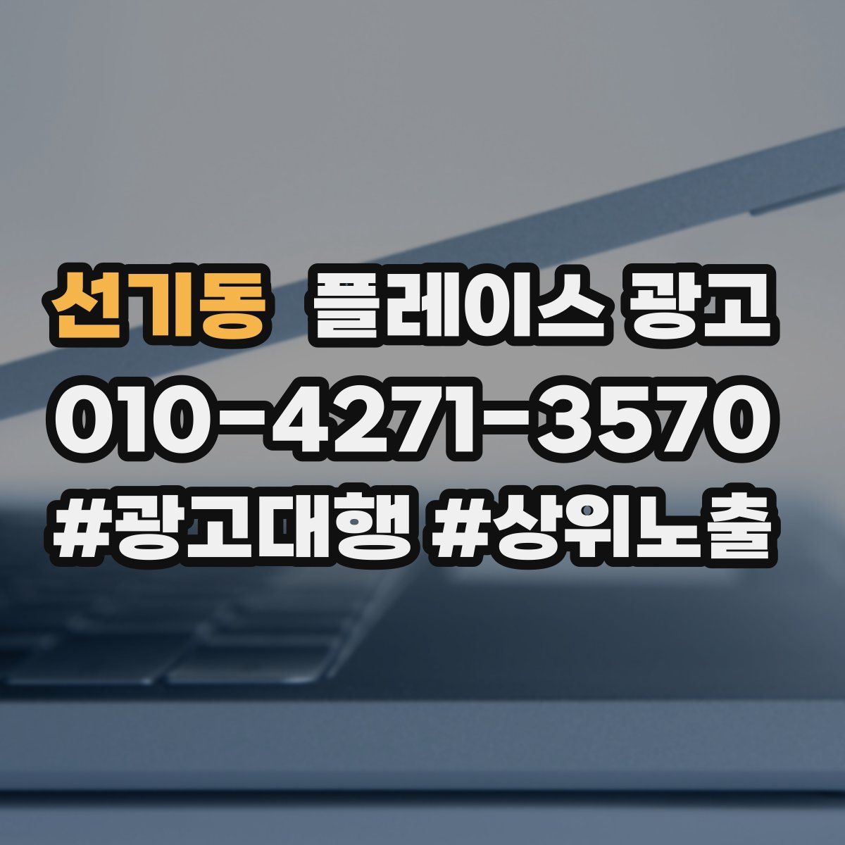 선기동 플레이스 광고