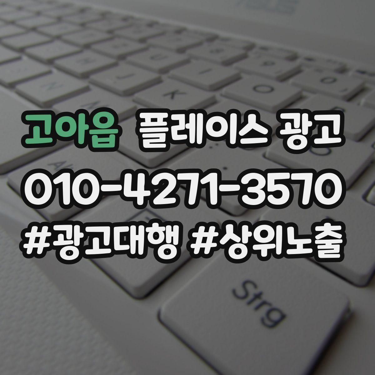 고아읍 플레이스 광고
