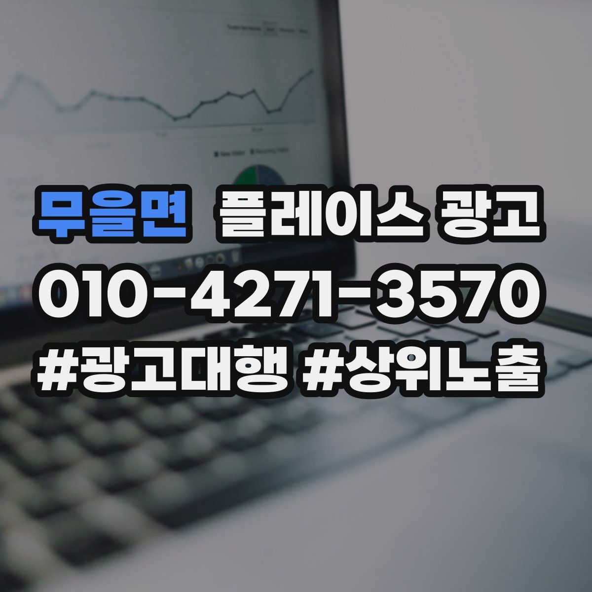 무을면 플레이스 광고