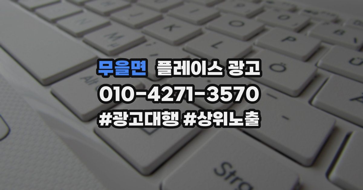 무을면 플레이스 광고