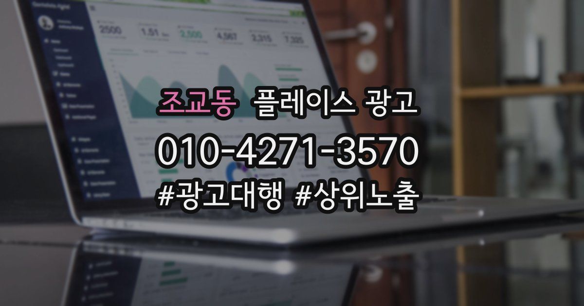 조교동 플레이스 광고