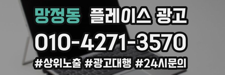 망정동 플레이스 광고