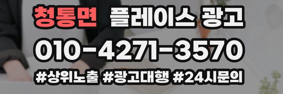 청통면 플레이스 광고