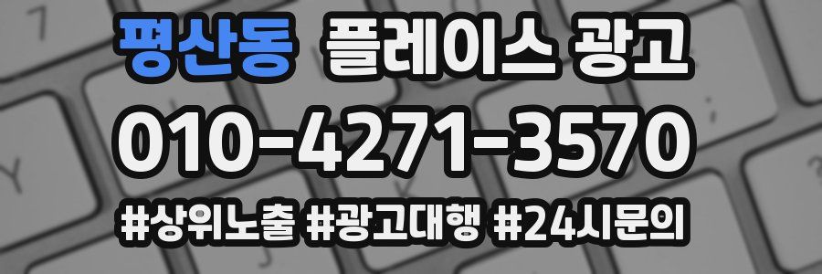 평산동 플레이스 광고