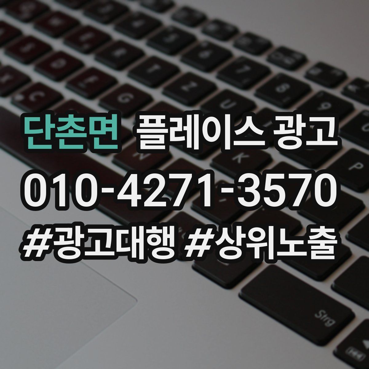 단촌면 플레이스 광고