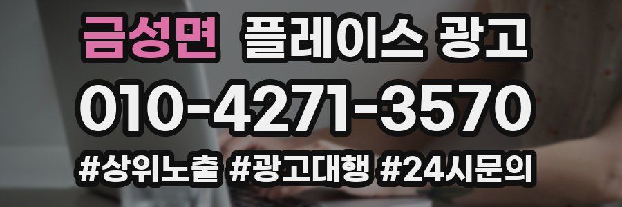 금성면 플레이스 광고