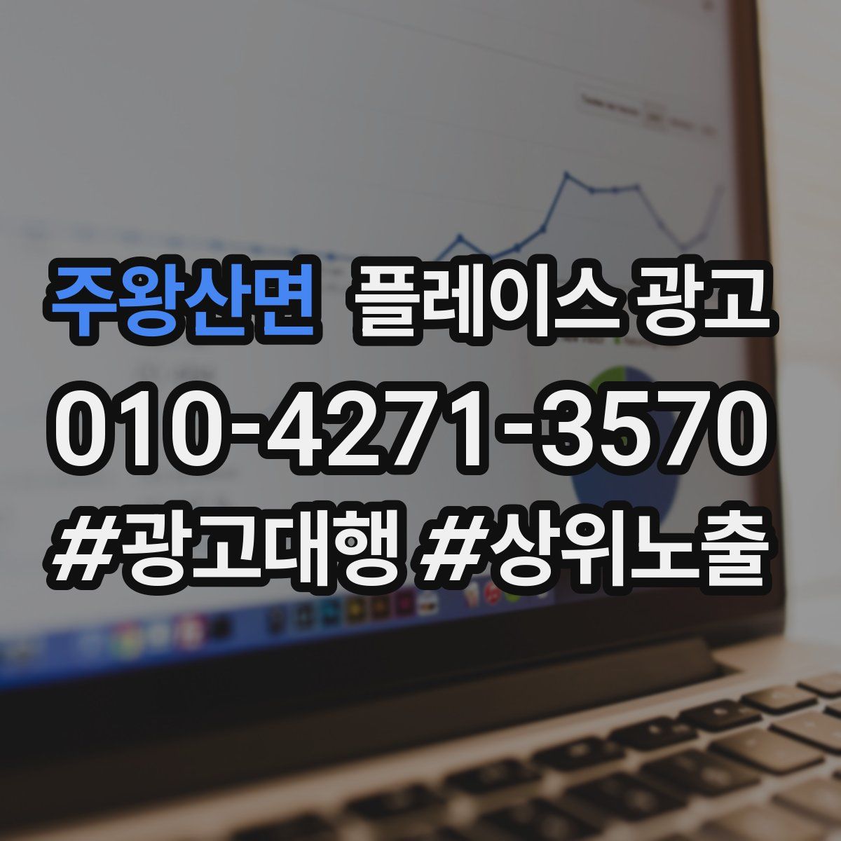 주왕산면 플레이스 광고