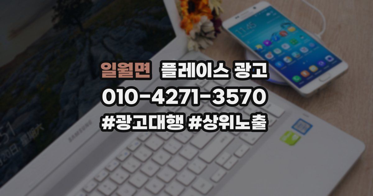 일월면 플레이스 광고
