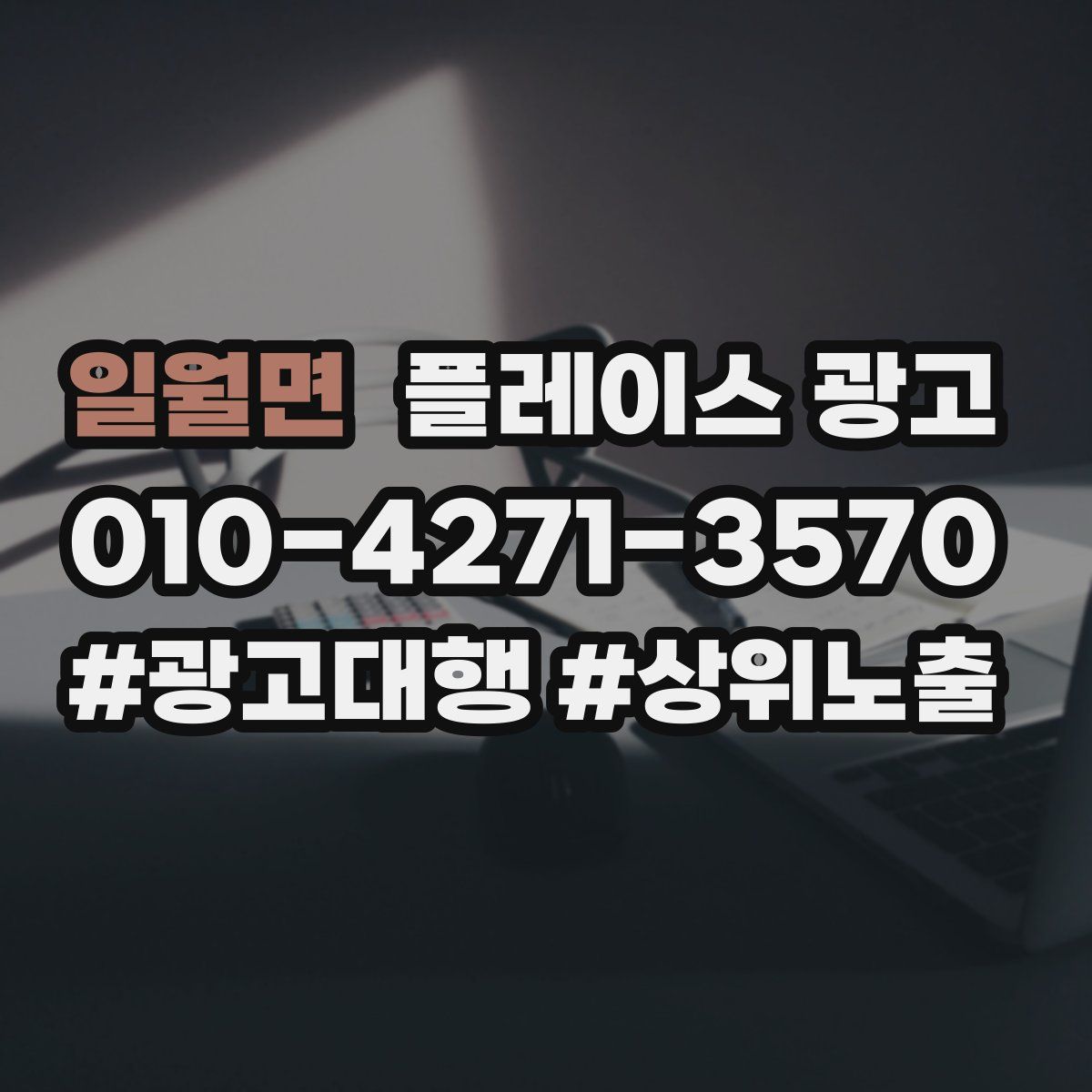 일월면 플레이스 광고