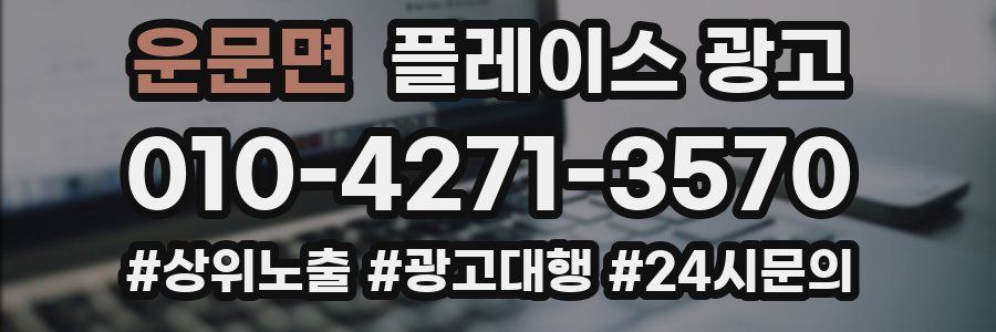 운문면 플레이스 광고