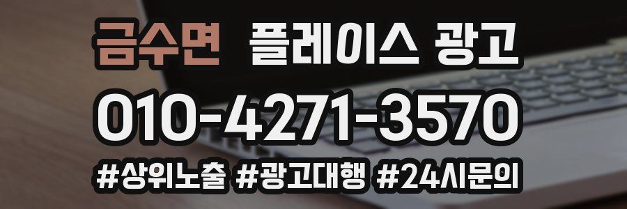 금수면 플레이스 광고